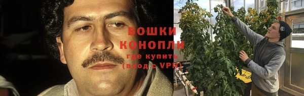 гашишное масло Магас