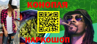 гашик Краснознаменск