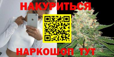 гашик Краснознаменск