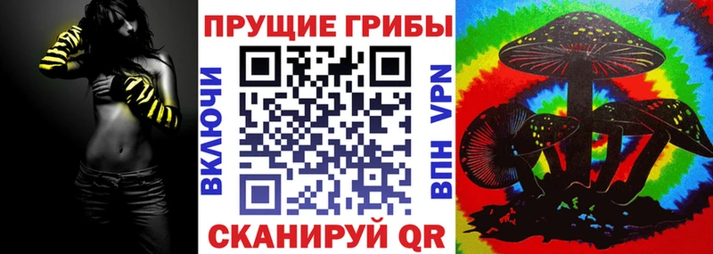 Псилоцибиновые грибы мицелий  Топки 