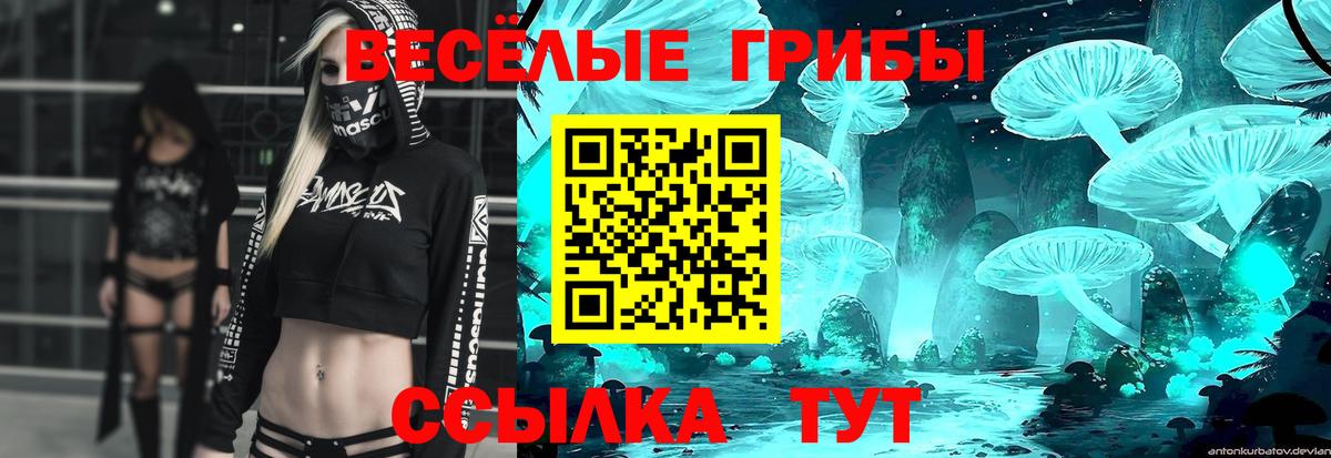 Топки  Галлюциногенные грибы GOLDEN TEACHER  Вход с VPN 