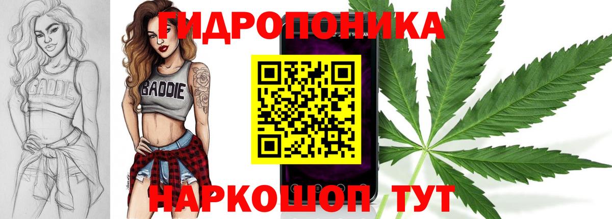 Каннабис OG Kush  Вход с VPN  Конопля MAZAR  Топки 